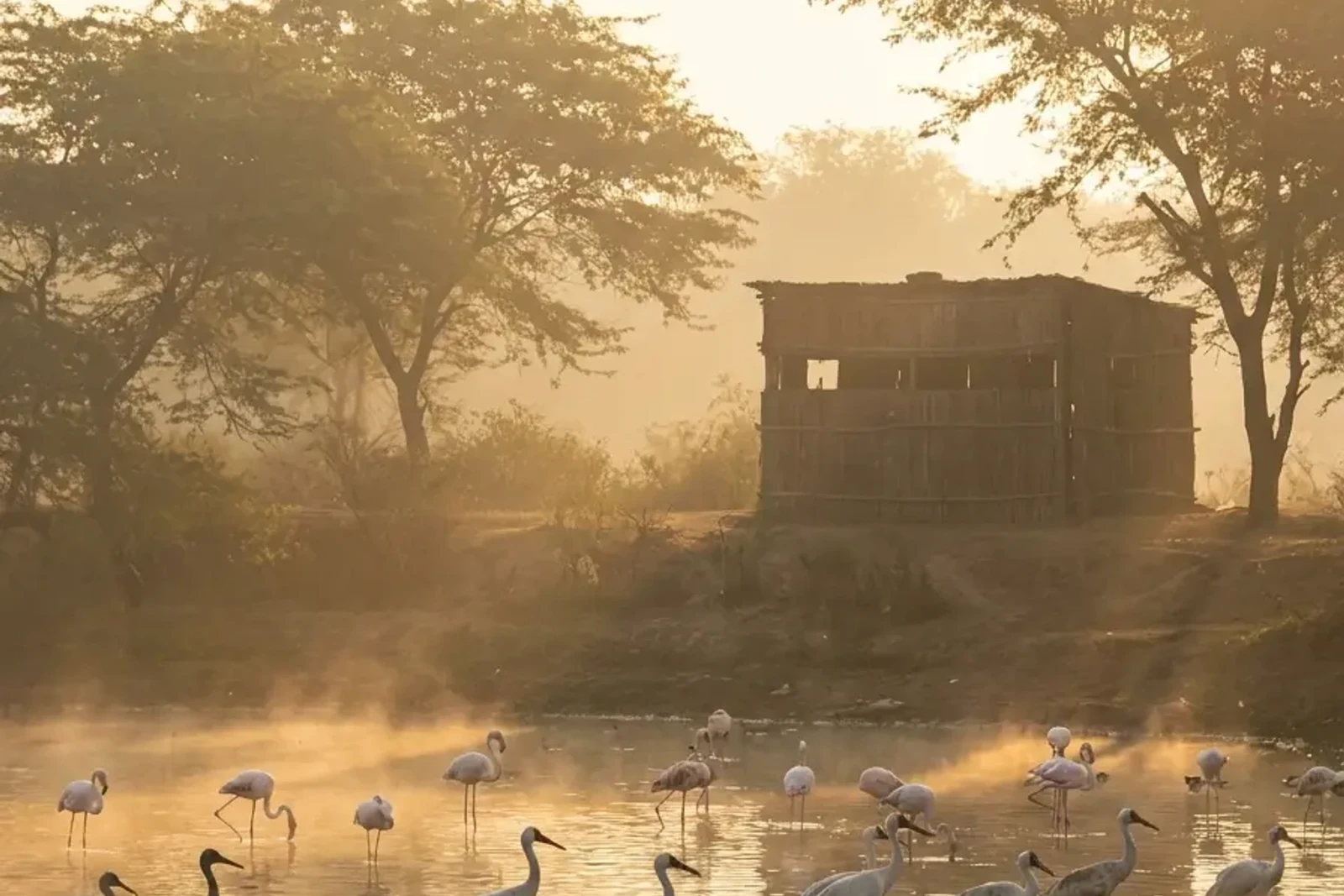 Sultanpur National Park