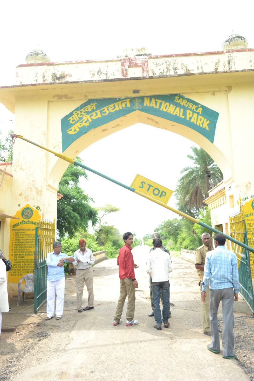 Sariska